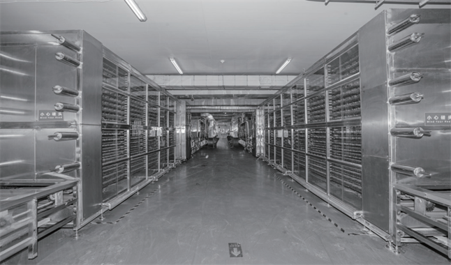 大連弘潤 以“品質(zhì)力量”加冕，無麩質(zhì)有機(jī)面如何重塑行業(yè)標(biāo)桿與市場格局